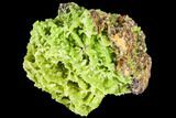 Apple-Green Pyromorphite Crystal Cluster - China #112213-1